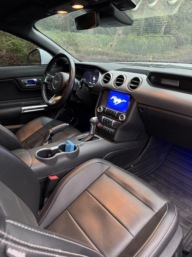 Ford Mach-E 2020 thumb 6