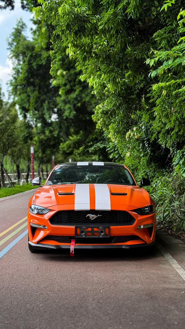 Ford Mach-E 2019 thumb 2
