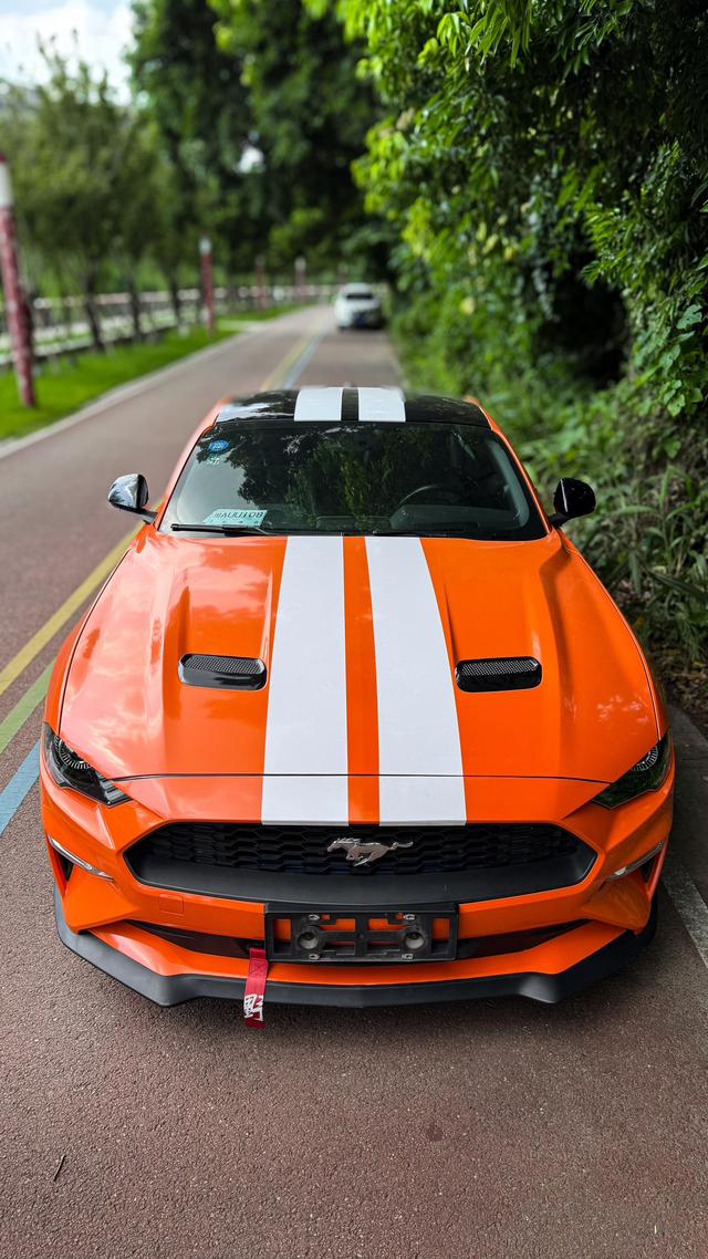Ford Mach-E 2019 thumb 3