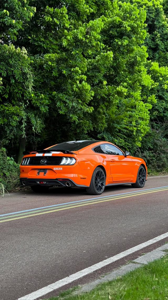 Ford Mach-E 2019 thumb 4
