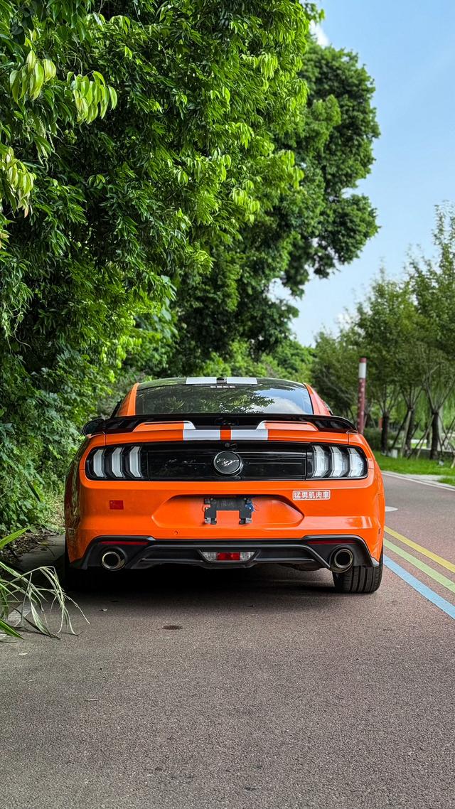 Ford Mach-E 2019 thumb 5