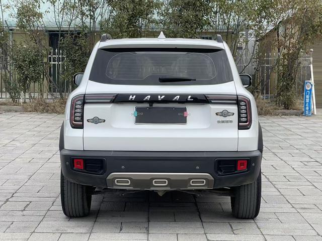 Haval DaGou (Big Dog) 2021 thumb 3