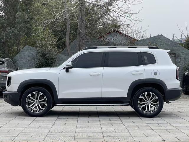 Haval DaGou (Big Dog) 2021 thumb 4