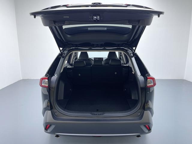 Toyota Wildlander 2023 thumb 12