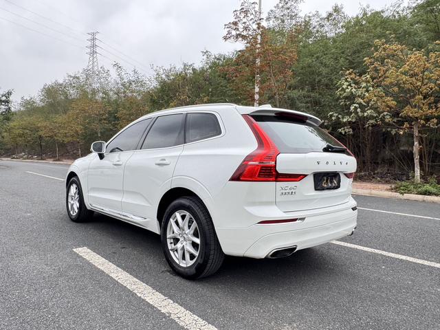 Volvo XC60 2019 thumb 6