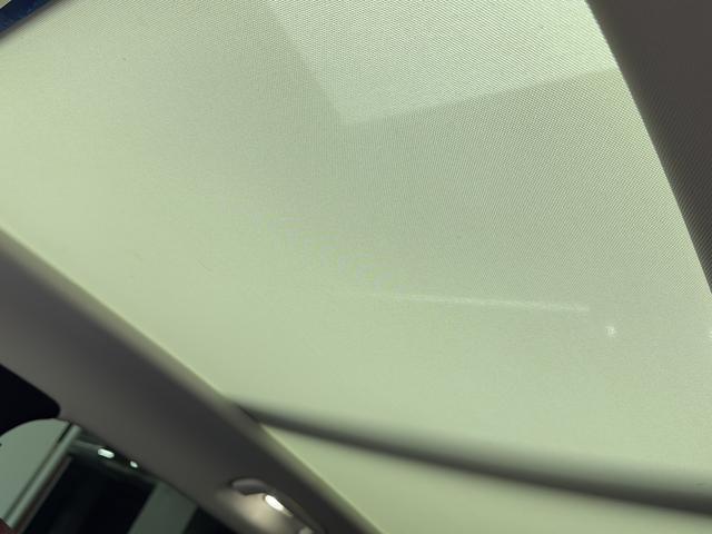 Hongqi E-HS9 2022 thumb 11