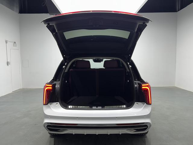 Hongqi E-HS9 2022 thumb 12