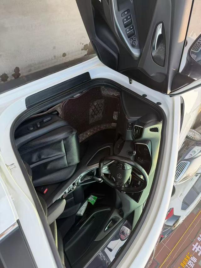 Hyundai Lafesta 2019 thumb 3