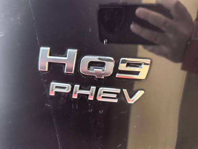 Hongqi HQ9 2024 thumb 10