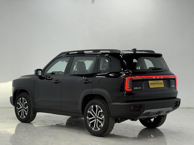 Haval DaGou (Big Dog) 2026 thumb 2