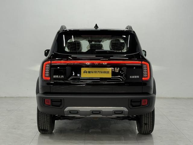Haval DaGou (Big Dog) 2026 thumb 3