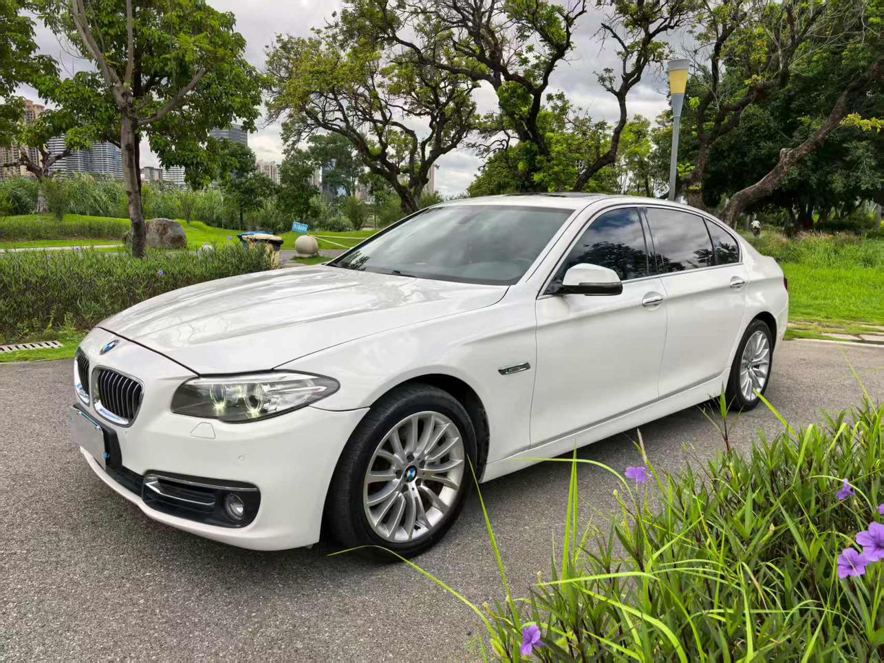 BMW 5 серии 2016 thumb 8