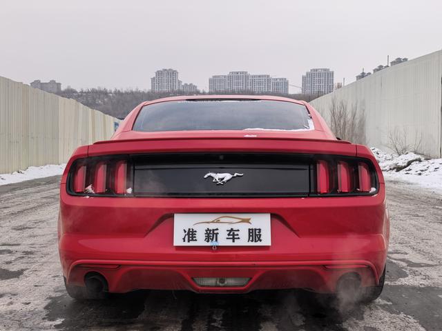 Ford Mach-E 2019 thumb 11