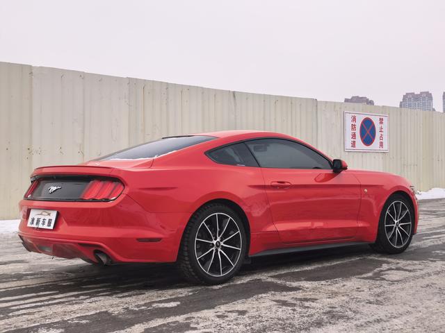 Ford Mach-E 2019 thumb 12