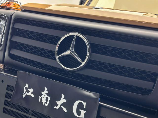 Mercedes-Benz G-Class 2011 thumb 8