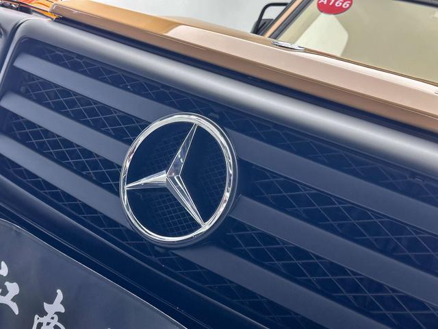 Mercedes-Benz G-Class 2011 thumb 10