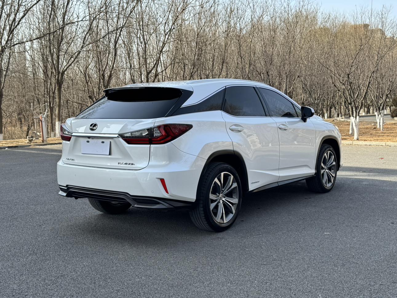 Lexus RX 2017 thumb 5