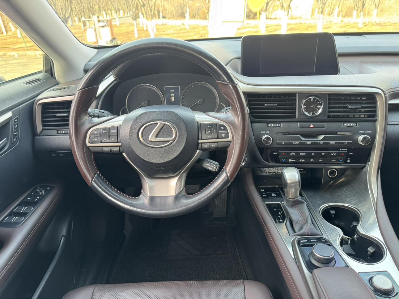Lexus RX 2017 thumb 11