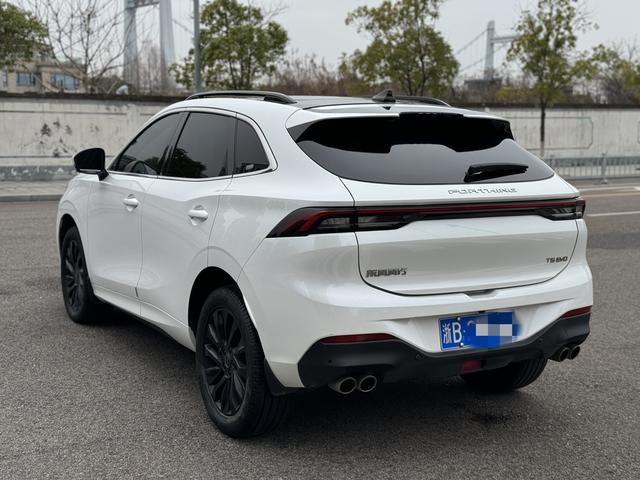 Dongfeng Fengxing T5 EVO 2022 thumb 12