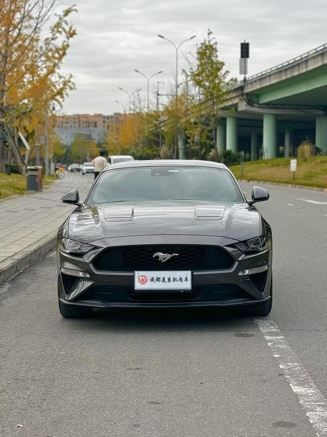 Ford Mustang Mach-E 2020 thumb 2