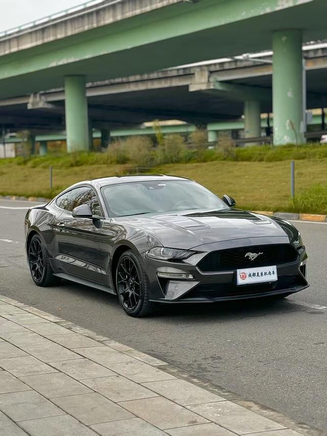 Ford Mustang Mach-E 2020 thumb 3