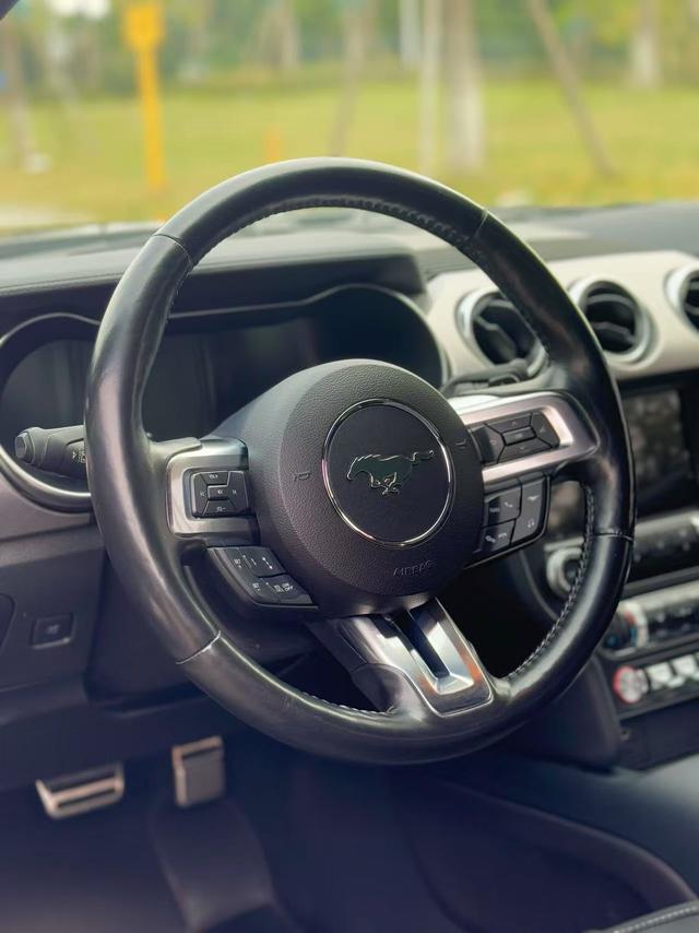Ford Mustang Mach-E 2020 thumb 4