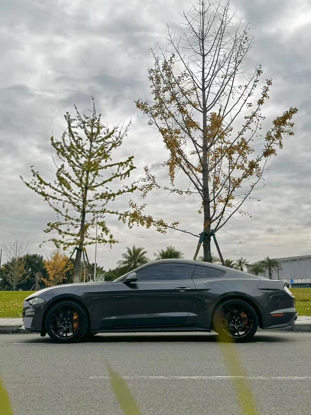 Ford Mustang Mach-E 2020 thumb 6