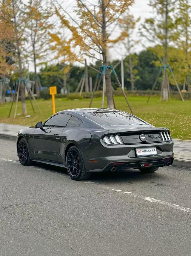 Ford Mustang Mach-E 2020 thumb 7