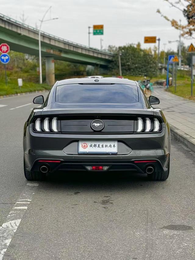 Ford Mustang Mach-E 2020 thumb 8