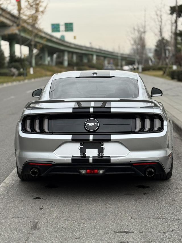 Ford Mach-E 2019 thumb 5