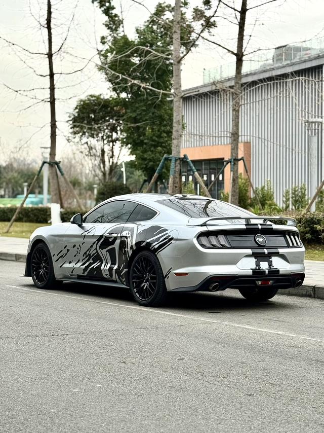 Ford Mach-E 2019 thumb 6
