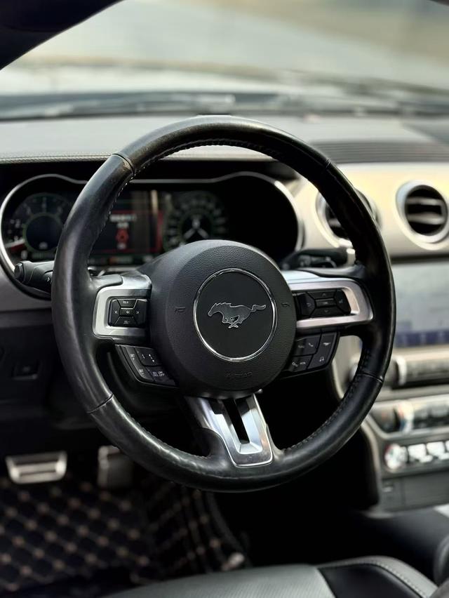 Ford Mach-E 2020 thumb 2