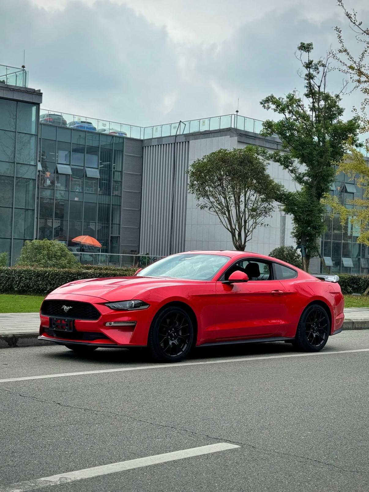 Ford Mach-E 2019 thumb 8