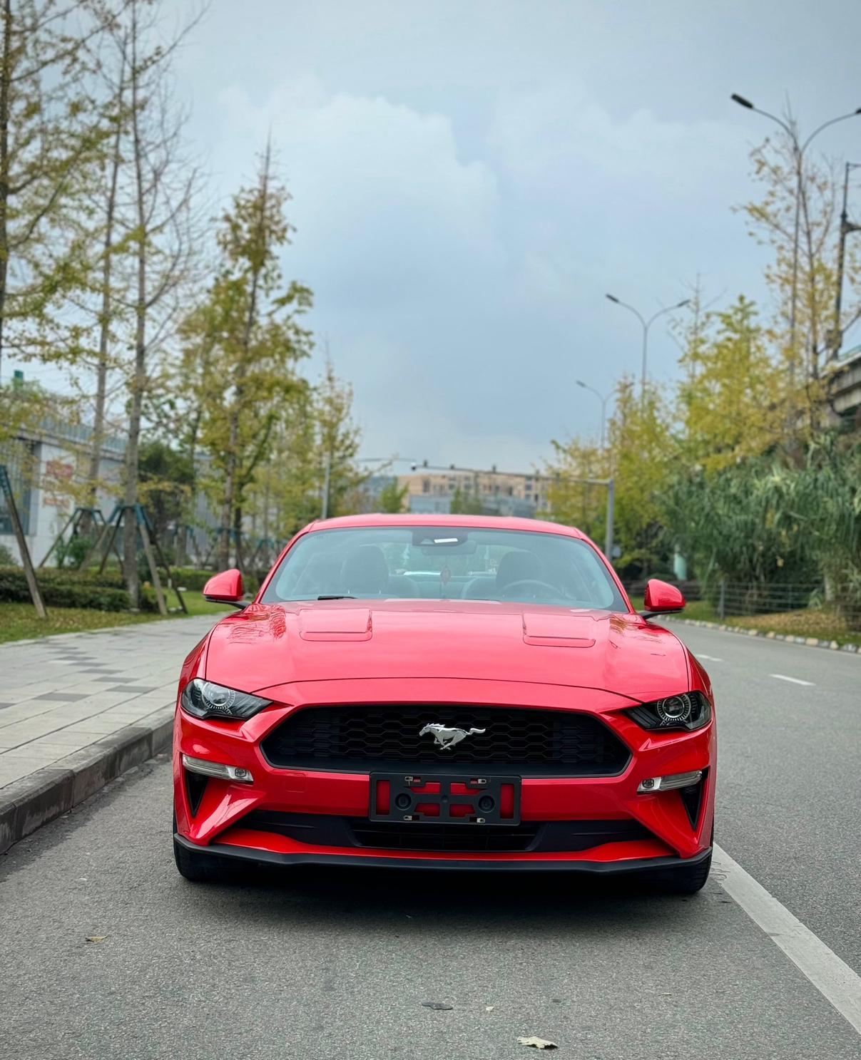 Ford Mach-E 2019 thumb 9