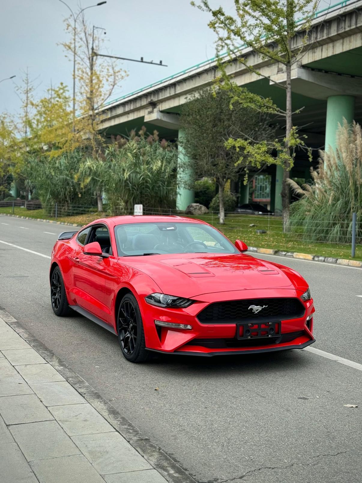 Ford Mach-E 2019 thumb 10