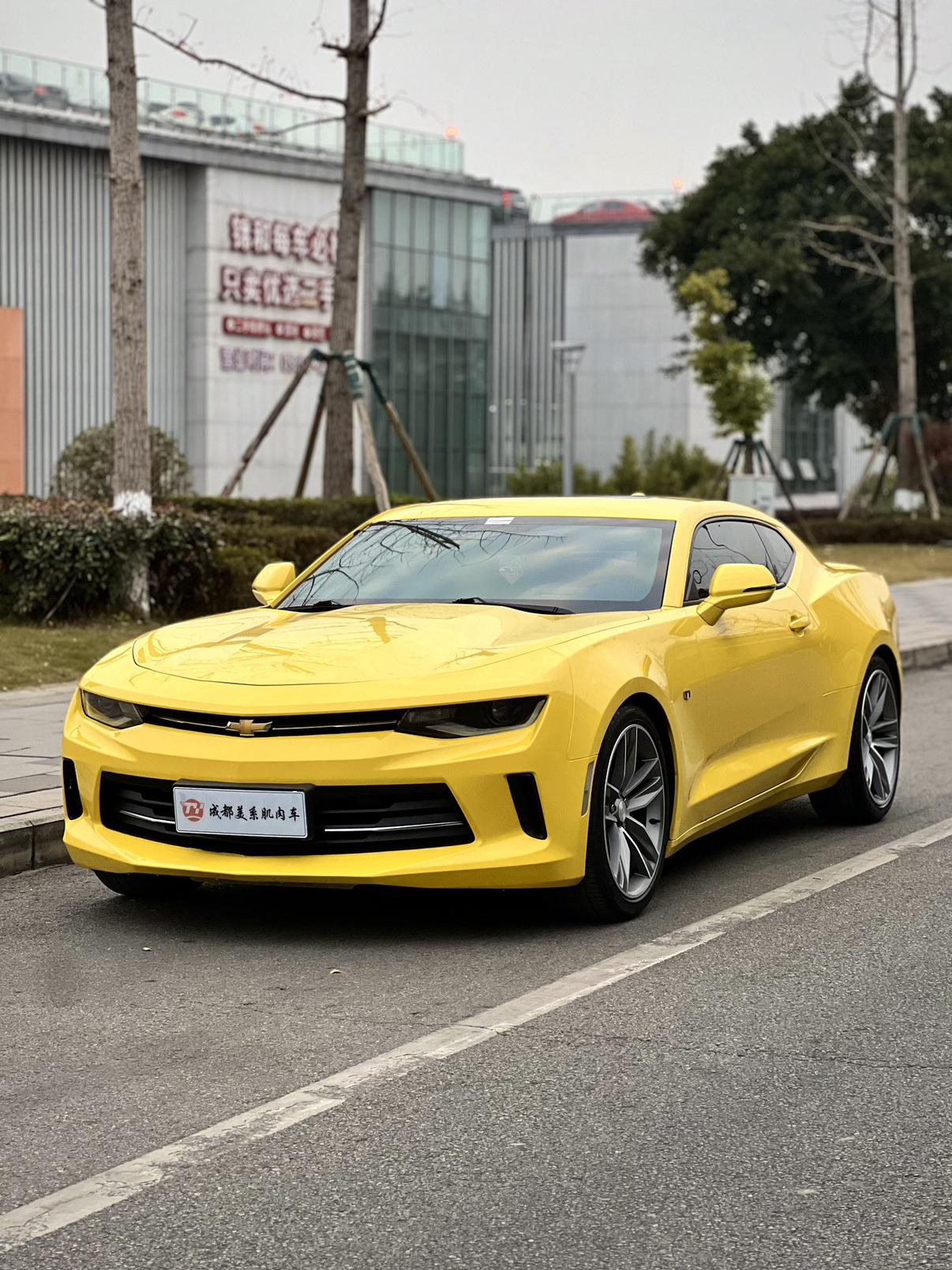 Chevrolet Camaro 2018 thumb 9