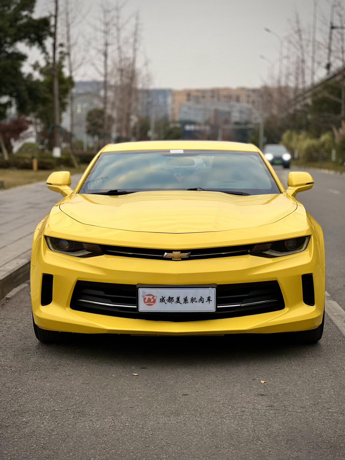 Chevrolet Camaro 2018 thumb 10