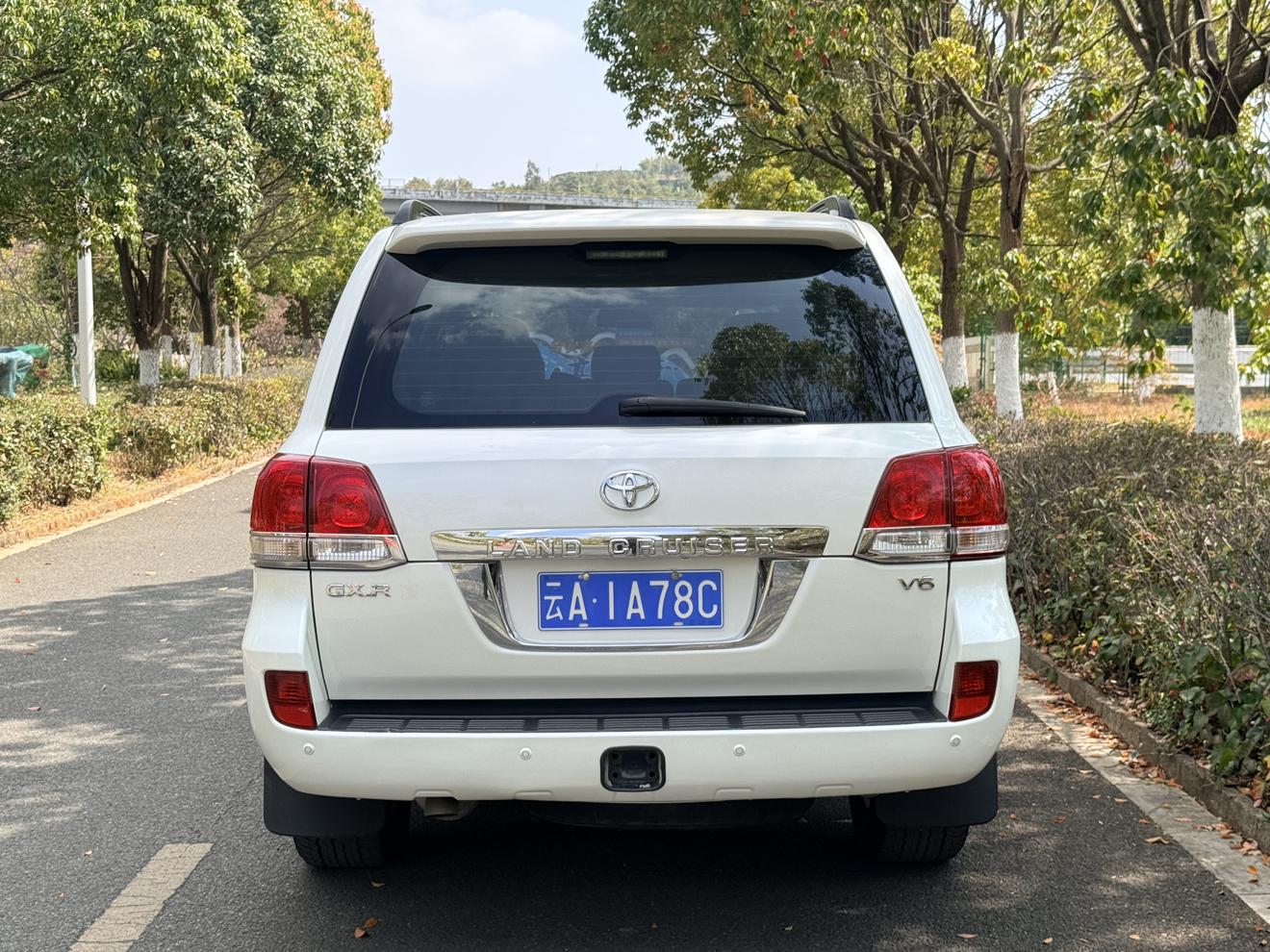 Toyota Land Cruiser 2013 thumb 3