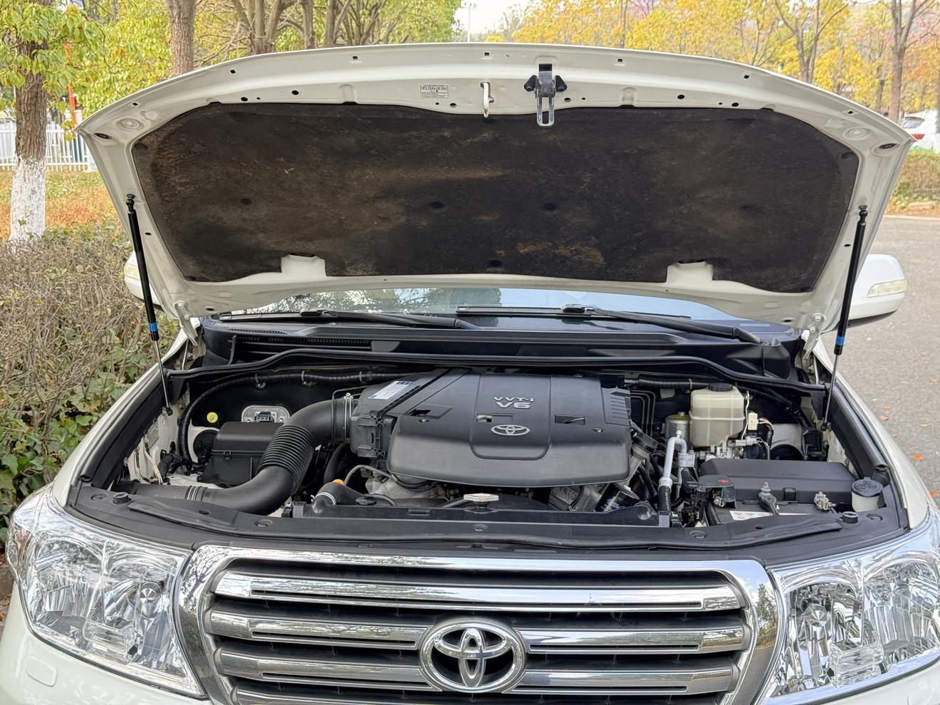 Toyota Land Cruiser 2013 thumb 5
