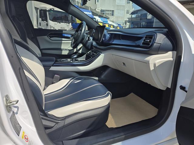 BYD Qin 2021 thumb 8