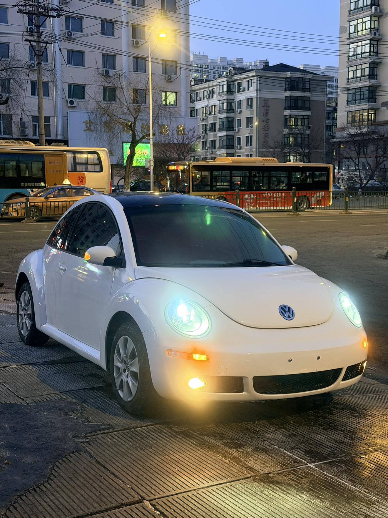 Volkswagen Beetle 2008 thumb 11