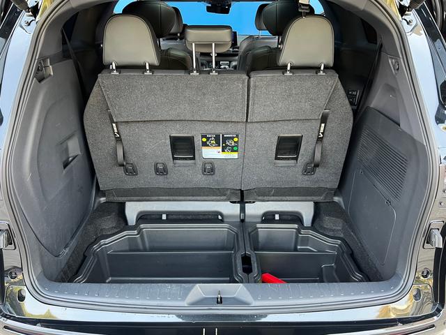Toyota Sienna 2024 thumb 8