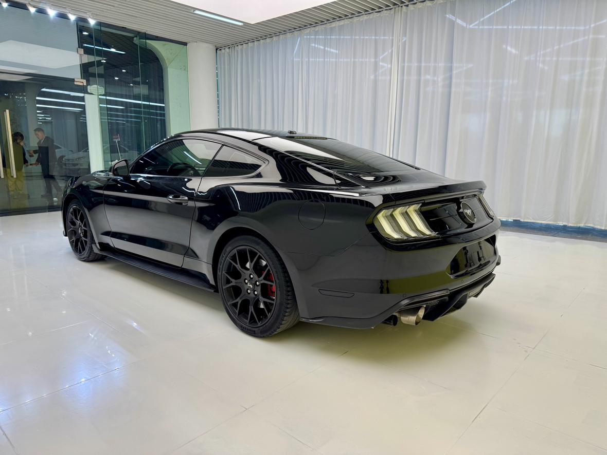 Ford Mach-E 2018 thumb 2