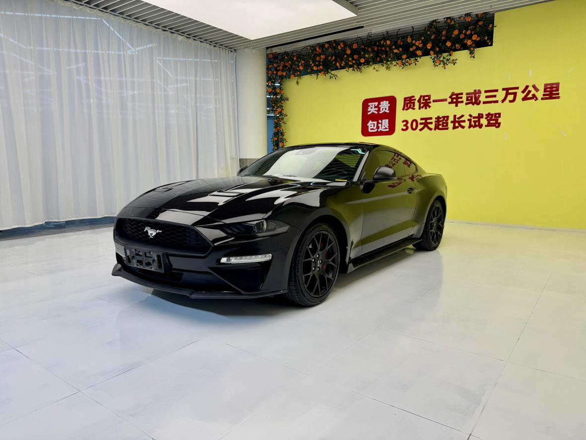 Ford Mach-E 2018 thumb 12