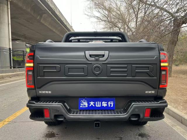 Great Wall Pao 2023 thumb 6