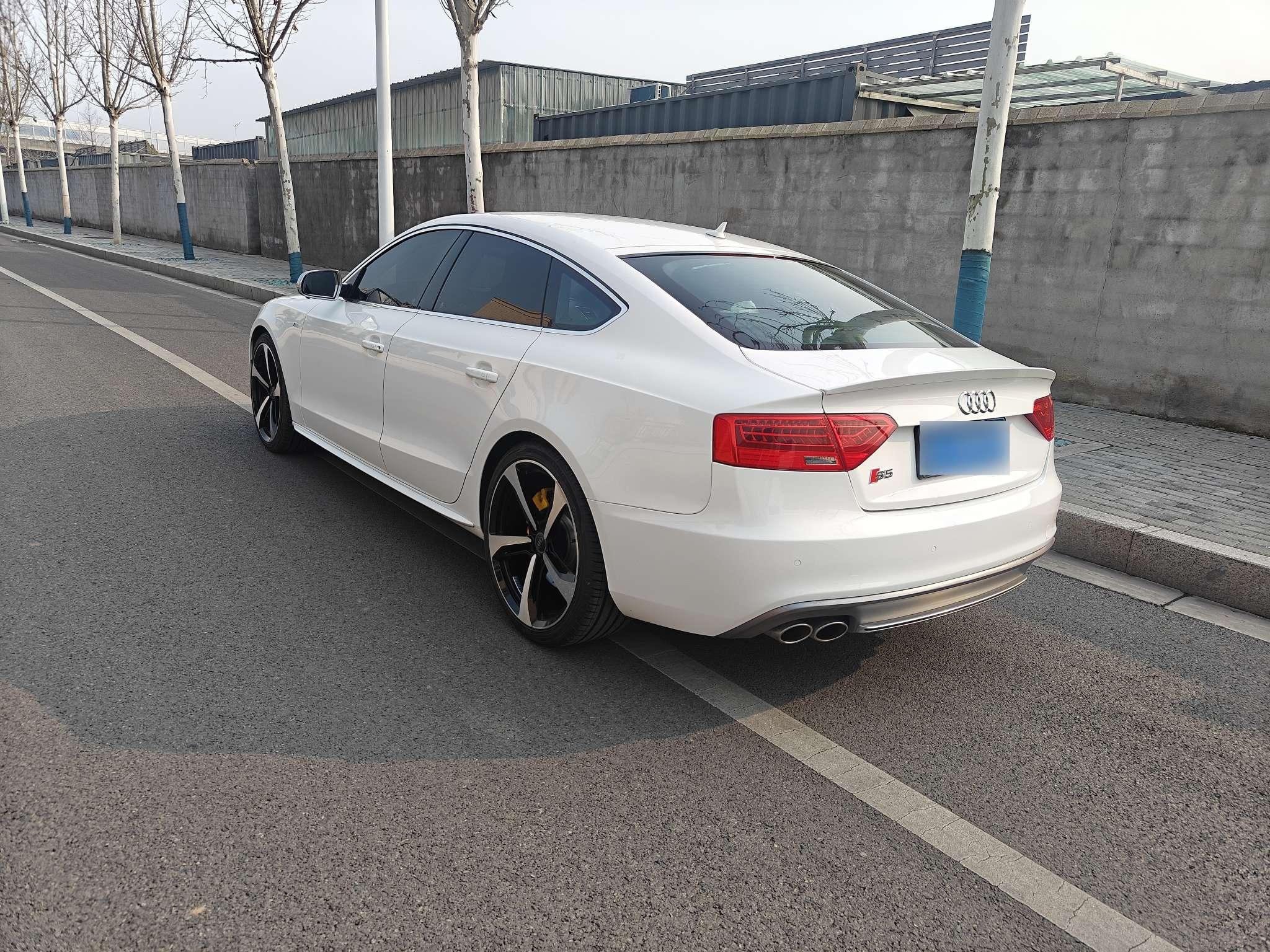 Audi S5 2015 thumb 11