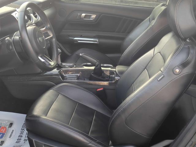 Ford Mach-E 2019 thumb 11