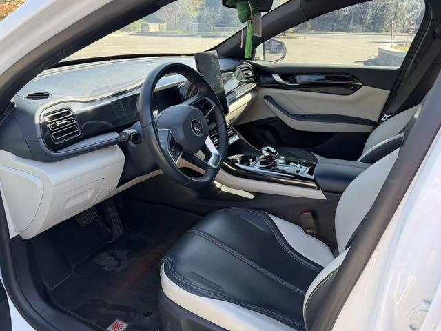 BYD Qin 2021 thumb 4