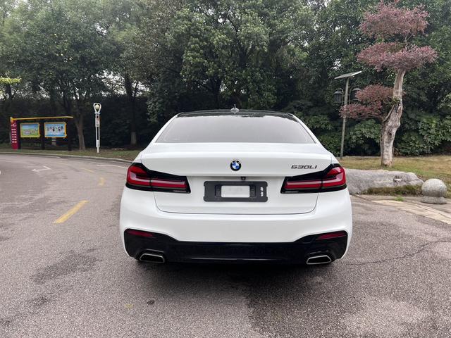 BMW 5 серии 2019 thumb 5