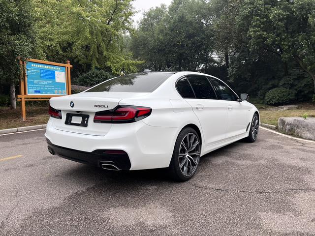 BMW 5 серии 2019 thumb 6